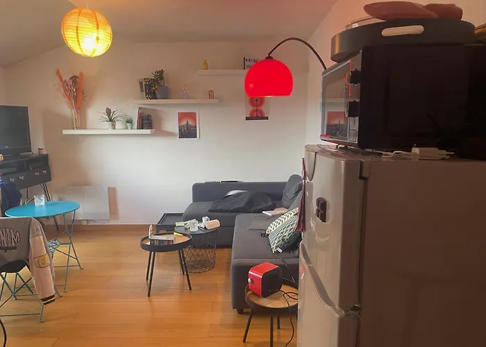 Appartement Au Centre Ville De Toulouse