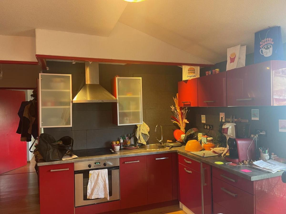 Au Centre De Apartamento Toulouse